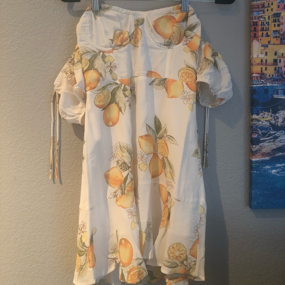 For Love and Lemons Dress